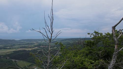 DJI_2886.JPG